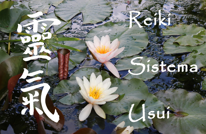 Reiki II livello Sistema Usui