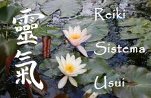 Reiki II livello Sistema Usui